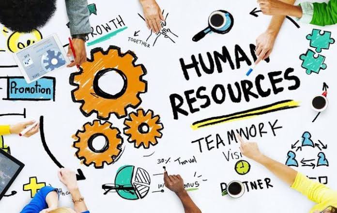 3 Steps to choose the best human resource masters in Germany