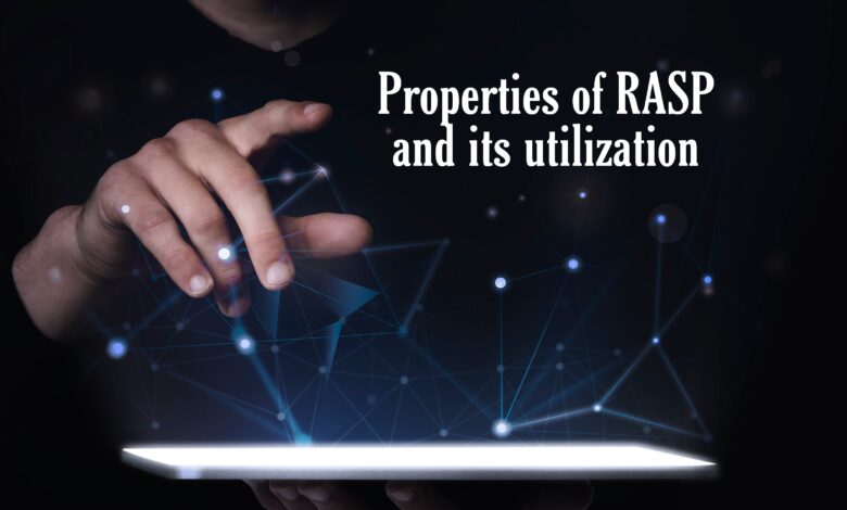 Properties of RASP and its utilization