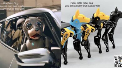 Top 3 Real Robot Dogs of 2022